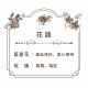 【TOYO-SASAKI】285cc浪漫花卉對杯組 G098-S107 / 東洋佐佐木 / 日本製 / 花語 / 花卉 / 禮盒 /對杯組 / 情人節